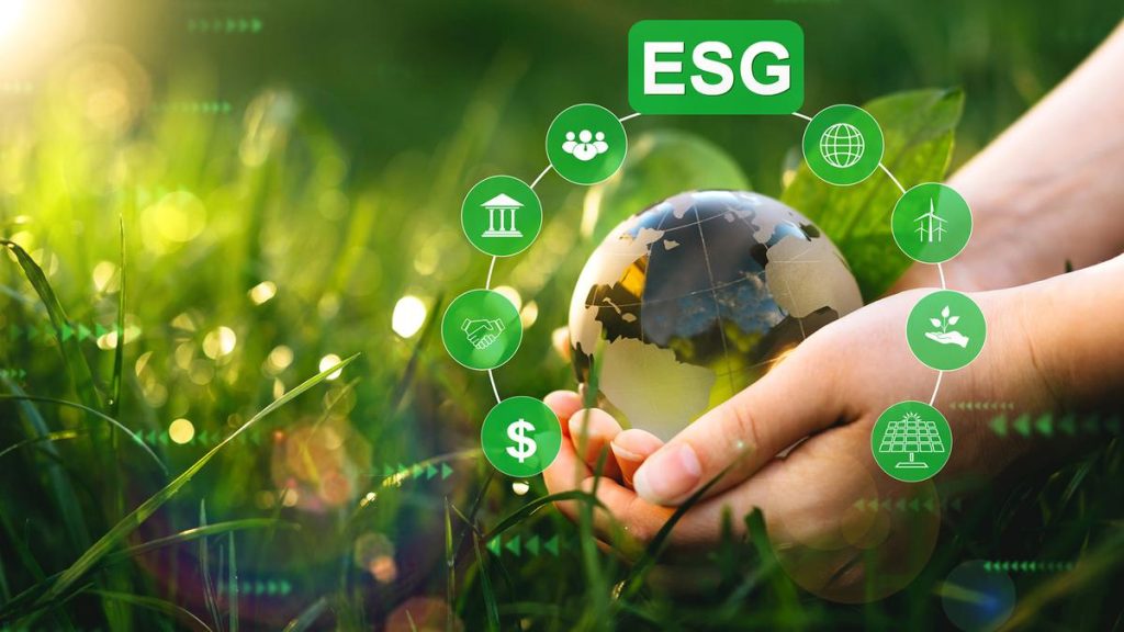 Environmental, Social, and Governance (ESG) Theory to Effective Action